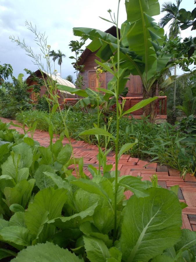 Hong Thai River Side Homestay Ben Tre Luaran gambar